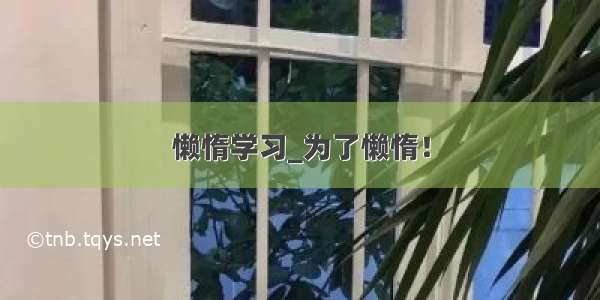 懒惰学习_为了懒惰！