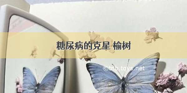 糖尿病的克星 榆树