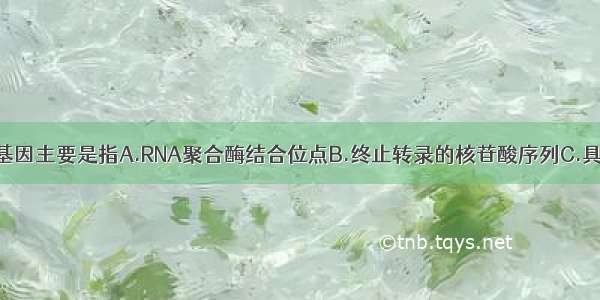 单选题目的基因主要是指A.RNA聚合酶结合位点B.终止转录的核苷酸序列C.具有调控作用