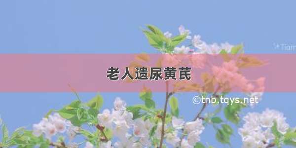 老人遗尿黄芪