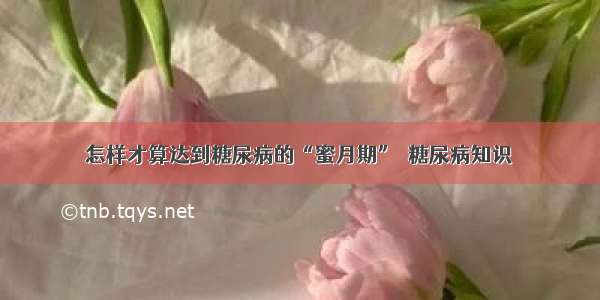 怎样才算达到糖尿病的“蜜月期”｜糖尿病知识