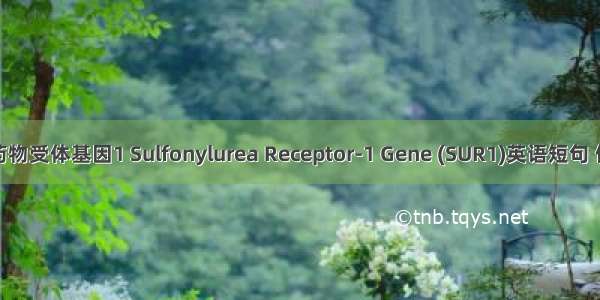 磺脲类药物受体基因1 Sulfonylurea Receptor-1 Gene (SUR1)英语短句 例句大全