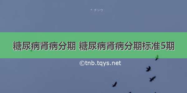 糖尿病肾病分期 糖尿病肾病分期标准5期