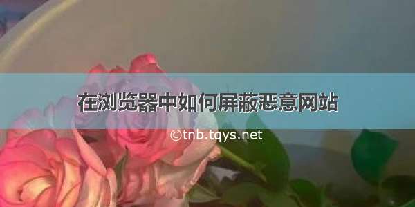 在浏览器中如何屏蔽恶意网站