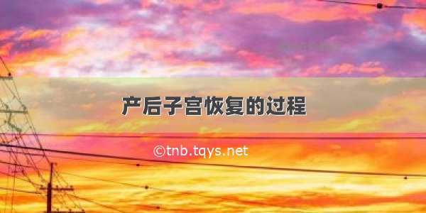 产后子宫恢复的过程