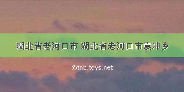 湖北省老河口市 湖北省老河口市袁冲乡