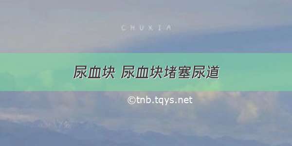 尿血块 尿血块堵塞尿道