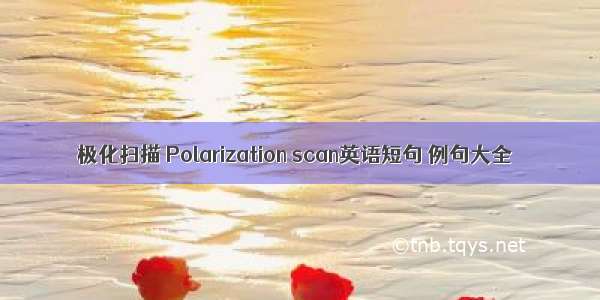 极化扫描 Polarization scan英语短句 例句大全