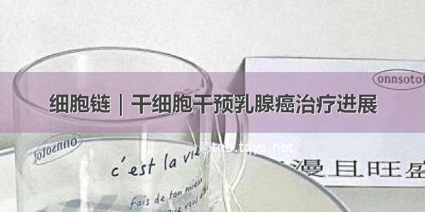 细胞链｜干细胞干预乳腺癌治疗进展