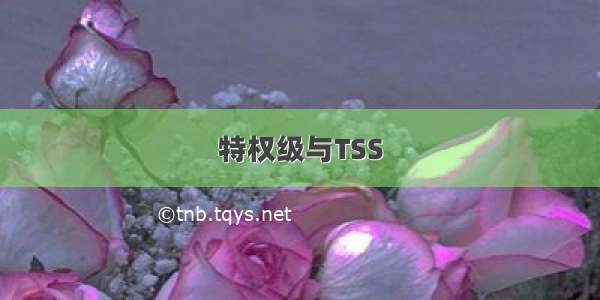 特权级与TSS