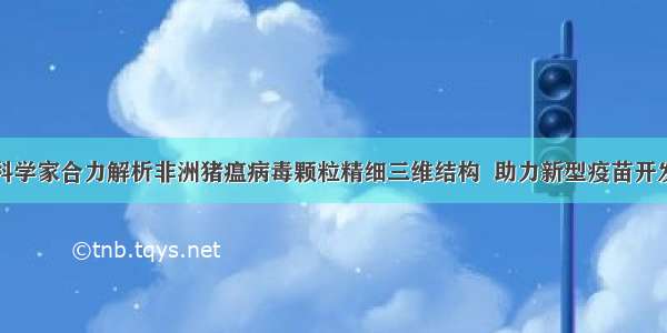 科学家合力解析非洲猪瘟病毒颗粒精细三维结构  助力新型疫苗开发