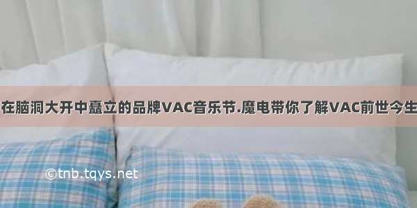 在脑洞大开中矗立的品牌VAC音乐节.魔电带你了解VAC前世今生