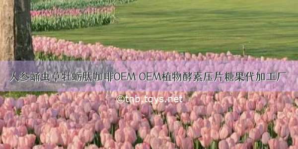 人参蛹虫草牡蛎肽咖啡OEM OEM植物酵素压片糖果代加工厂