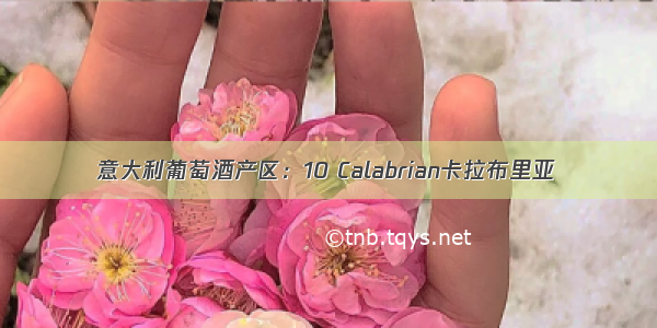 意大利葡萄酒产区：10 Calabrian卡拉布里亚