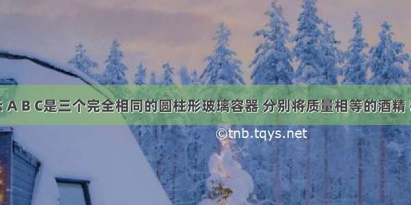 如图所示 A B C是三个完全相同的圆柱形玻璃容器 分别将质量相等的酒精 硫酸和水