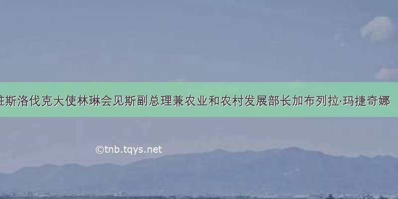 驻斯洛伐克大使林琳会见斯副总理兼农业和农村发展部长加布列拉·玛捷奇娜