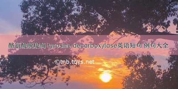 酪氨酸脱羧酶 tyrosine decarboxylase英语短句 例句大全