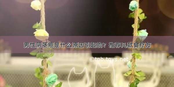 男性阴茎癌是什么原因引起的？推荐几款食疗方