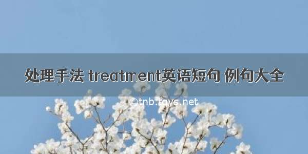 处理手法 treatment英语短句 例句大全