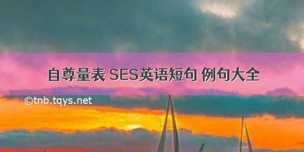 自尊量表 SES英语短句 例句大全