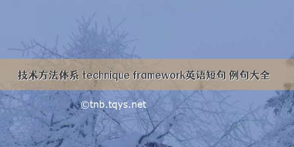 技术方法体系 technique framework英语短句 例句大全