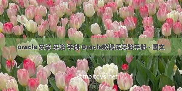 oracle 安装 实验 手册 Oracle数据库实验手册 - 图文