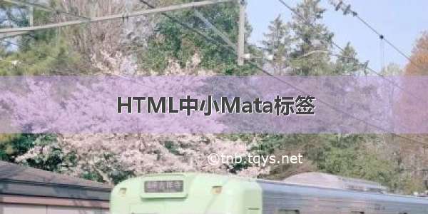 HTML中小Mata标签