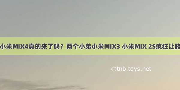 小米MIX4真的来了吗？两个小弟小米MIX3 小米MIX 2S疯狂让路