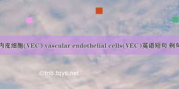 血管内皮细胞(VEC) vascular endothelial cells(VEC)英语短句 例句大全