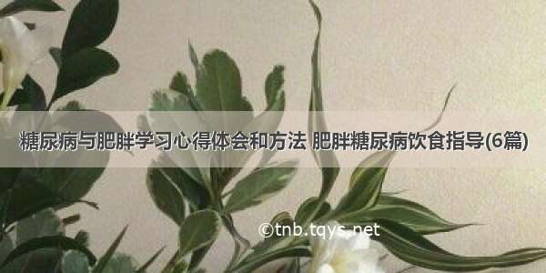 糖尿病与肥胖学习心得体会和方法 肥胖糖尿病饮食指导(6篇)