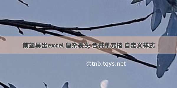 前端导出excel 复杂表头 合并单元格 自定义样式