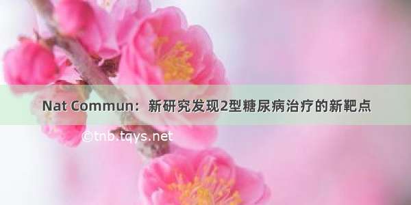 Nat Commun：新研究发现2型糖尿病治疗的新靶点