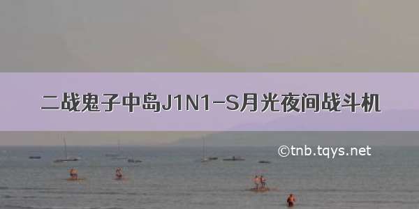 二战鬼子中岛J1N1-S月光夜间战斗机