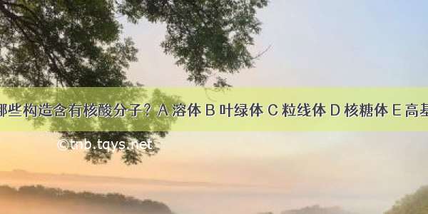 下列哪些构造含有核酸分子？A 溶体 B 叶绿体 C 粒线体 D 核糖体 E 高基氏体