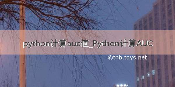 python计算auc值_Python计算AUC