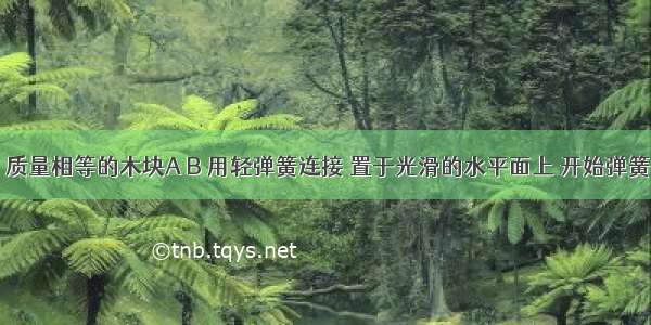 如图所示 质量相等的木块A B 用轻弹簧连接 置于光滑的水平面上 开始弹簧处于自然