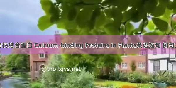 植物钙结合蛋白 Calcium-binding Proteins in Plants英语短句 例句大全