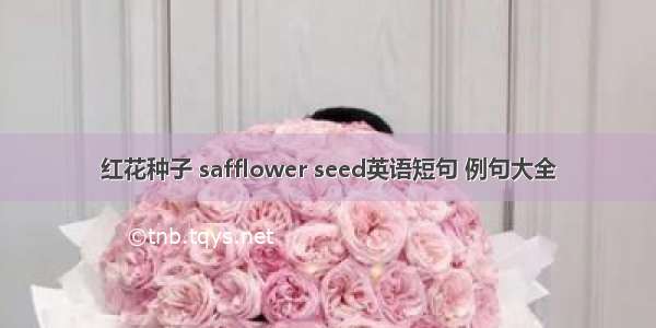 红花种子 safflower seed英语短句 例句大全