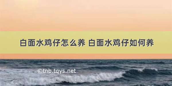 白面水鸡仔怎么养 白面水鸡仔如何养