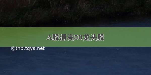 A股漂亮50龙头股