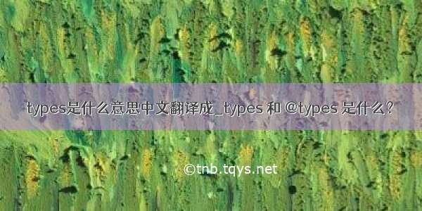 types是什么意思中文翻译成_types 和 @types 是什么？