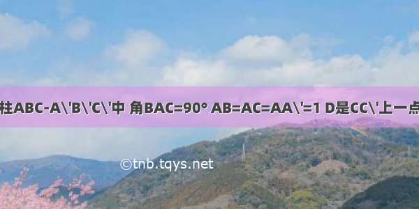 在直三棱柱ABC-A\'B\'C\'中 角BAC=90° AB=AC=AA\'=1 D是CC\'上一点这里边的