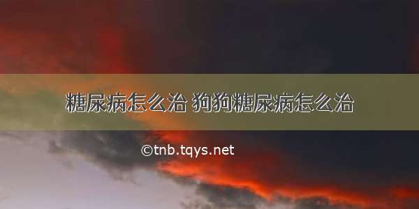 糖尿病怎么治 狗狗糖尿病怎么治