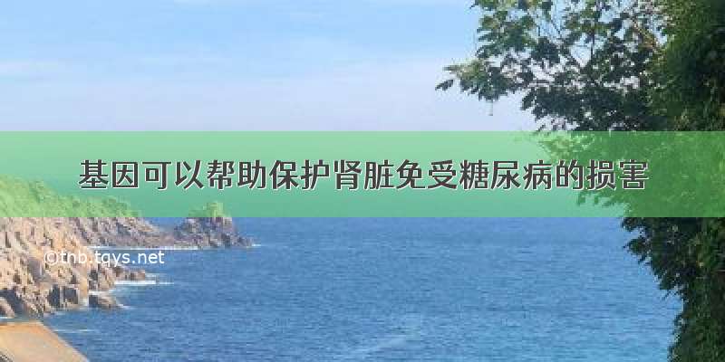 基因可以帮助保护肾脏免受糖尿病的损害