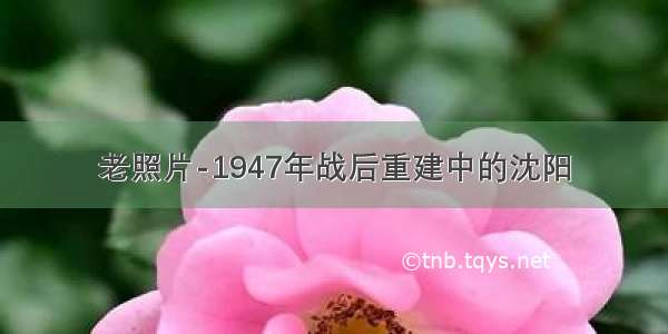 老照片-1947年战后重建中的沈阳