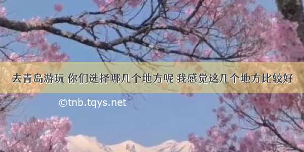 去青岛游玩 你们选择哪几个地方呢 我感觉这几个地方比较好