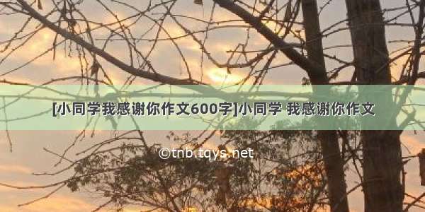 [小同学我感谢你作文600字]小同学 我感谢你作文