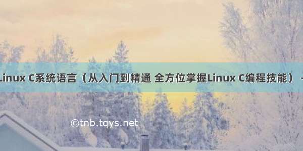 学习Linux C系统语言（从入门到精通 全方位掌握Linux C编程技能） – 网络