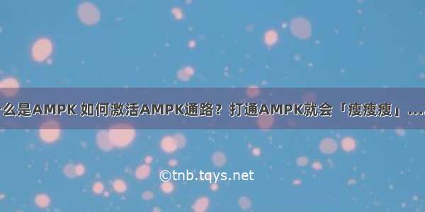 什么是AMPK 如何激活AMPK通路？打通AMPK就会「瘦瘦瘦」……