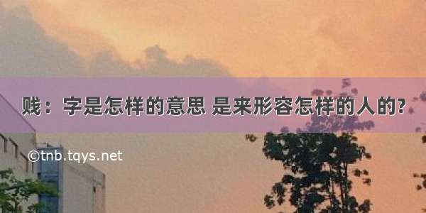 贱：字是怎样的意思 是来形容怎样的人的?